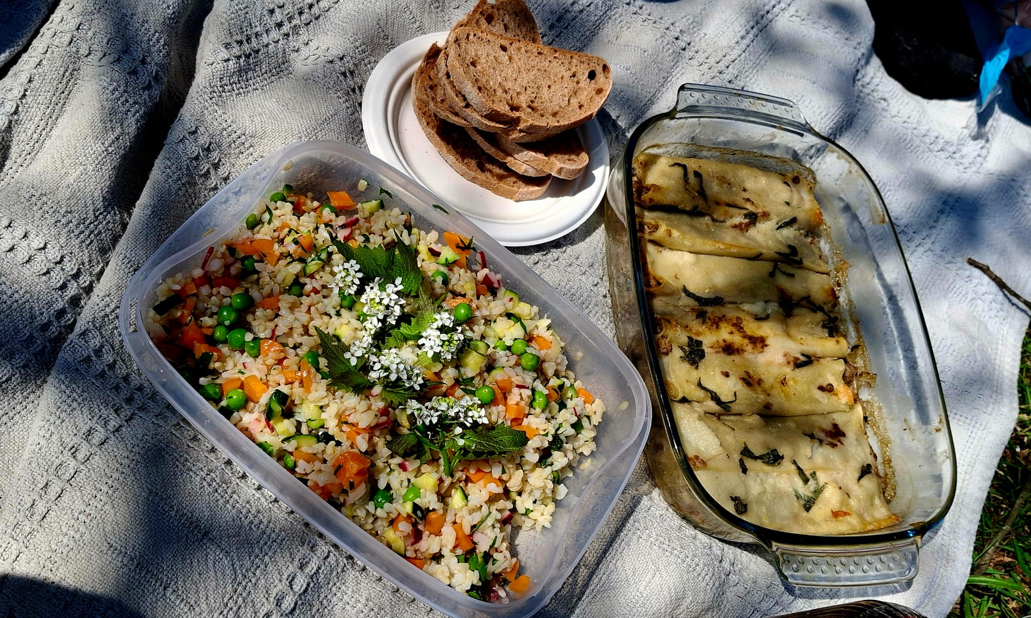 Pic Nic organizzato da Ginko Macrobiotica